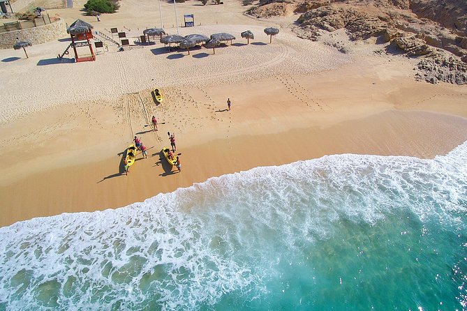 Cabo San Lucas Glass Bottom Kayak Tour and Snorkel at Two Bays - Price and logistics: what $100 buys you