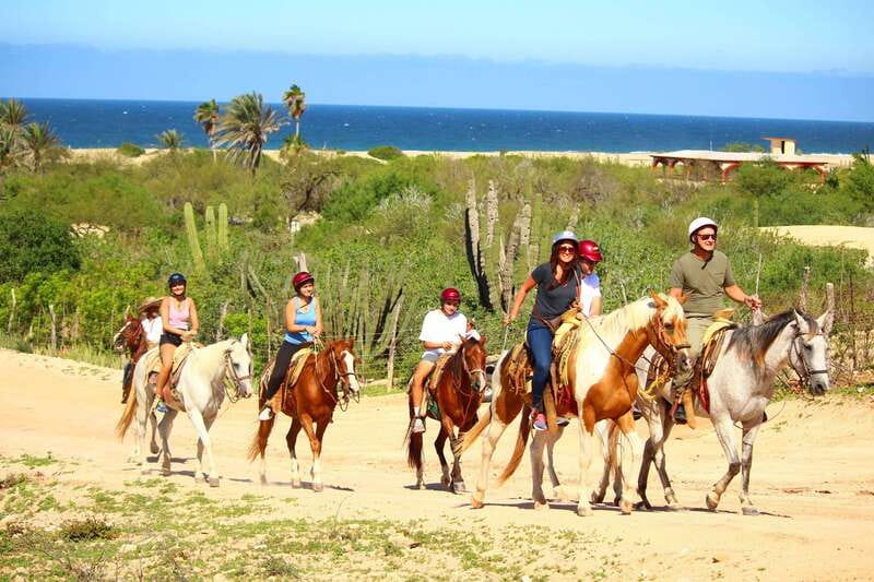 Cabo San Lucas: Horseback Riding in Migriño with Transfers - Key highlights at a glance