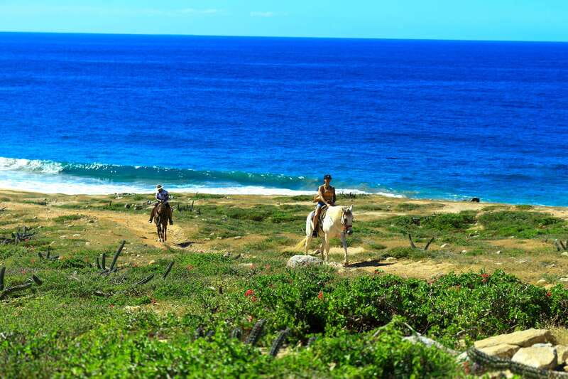 Cabo San Lucas: Horseback Riding in Migriño with Transfers - Hotel pickup to Migriño: why the transfers matter
