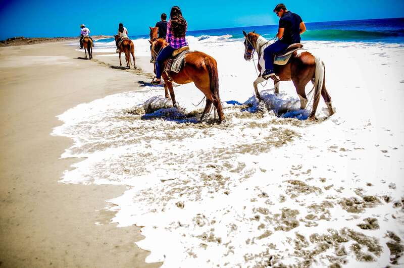 Cabo San Lucas: Horseback Riding in Migriño with Transfers - Riding the Baja coast: desert, beach sand, rocky paths, and viewpoints