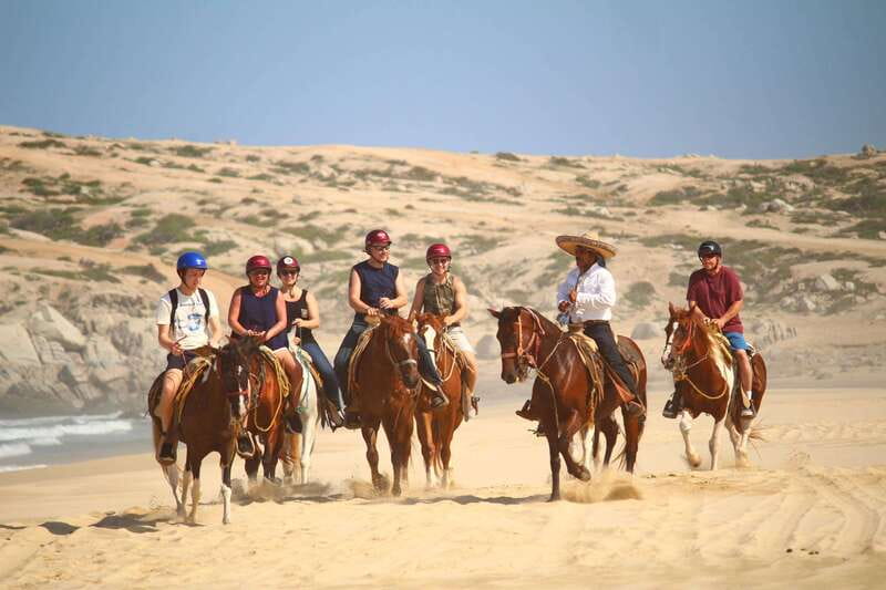 Cabo San Lucas: Horseback Riding in Migriño with Transfers - Flora, fauna, and the guide experience: what names tell you about the ride