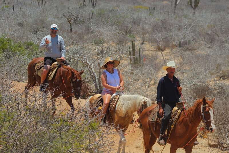 Cabo San Lucas: Horseback Riding in Migriño with Transfers - Price and value: what $87 includes, and what you may pay later