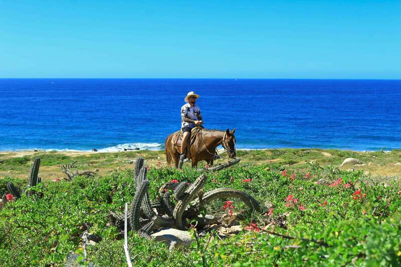 Cabo San Lucas: Horseback Riding in Migriño with Transfers - Who should book this Migriño horseback ride in Cabo?