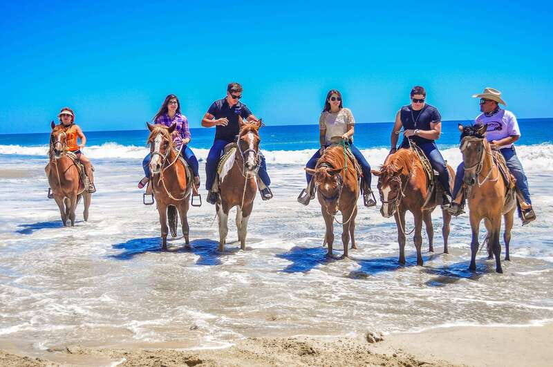 Cabo San Lucas: Horseback Riding in Migriño with Transfers - Should you book? My take on the decision