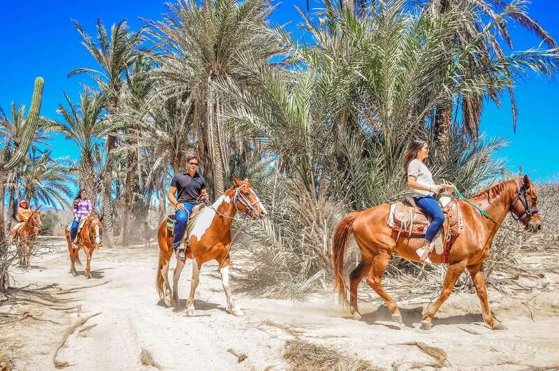 Cabo San Lucas: Horseback Riding in Migriño with Transfers - FAQ