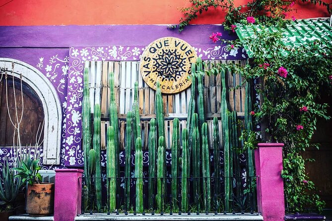 Cabo San Lucas Mezcal Tasting and Cocktail Class - Food pairings at Vas Que Vuelas: totopos, tacos, and more