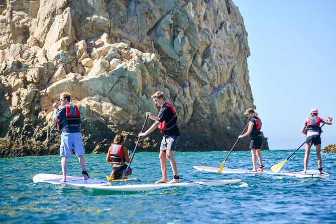 Cabo San Lucas Paddleboard and Snorkel at the Arch - Stop 2: El Arco up close, plus how sea lions change the vibe