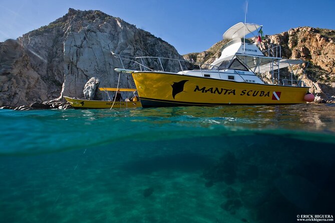 Cabo San Lucas Short Snorkeling Tour with Divemaster Guide - What you might see underwater: fish, sea lions, and the popular spots