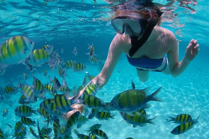 Cabo San Lucas Short Snorkeling Tour with Divemaster Guide - Your 2-hour plan: boat ride, shallow sand snorkeling, Lands End cruise
