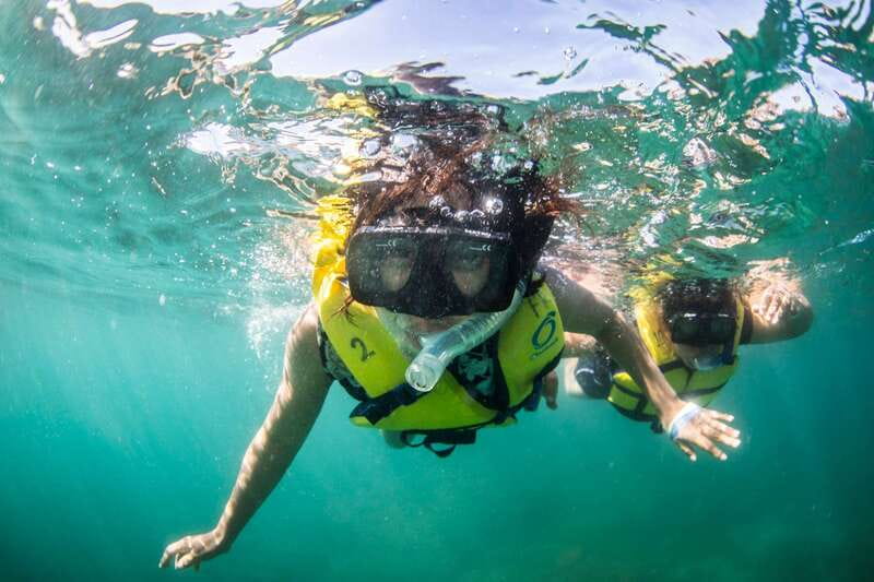 Cabo San Lucas: Snorkel, Lunch and Sail Experience - From the Cabo Marina to the Arch, you get the greatest hits fast