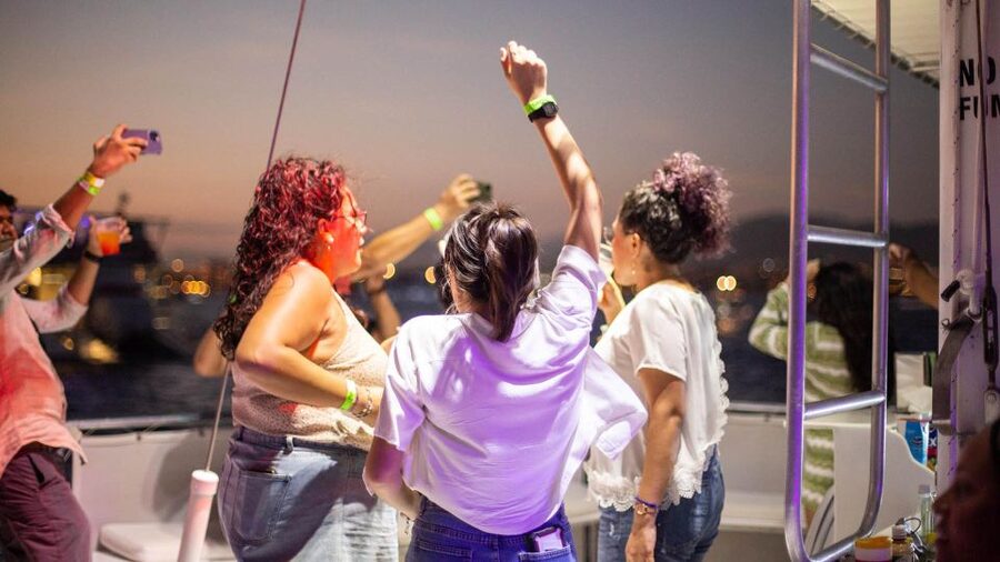 Cabo San Lucas: Sunset Party Cruise with Open Bar - Who this cruise suits best, and who should skip it
