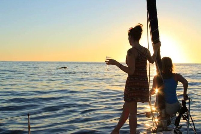 Cabo San Lucas Sunset Sailing Shared Cruise - Who This Cruise Fits Best in Cabo