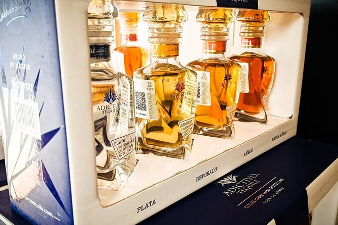 Cabo San Lucas Tequila Tasting Experience - How the Guide Teaches You to Taste Like You Mean It