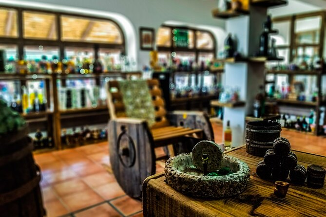 Cabo San Lucas Tequila Tasting Experience - The Grasshopper Moment: Optional, Memorable, Not Required