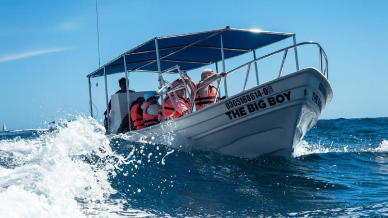 Cabo San Lucas: Tour paseo al Arco + bajada en playa - Glass-bottom Marine Safari to Cabo’s Arco (and why it works)