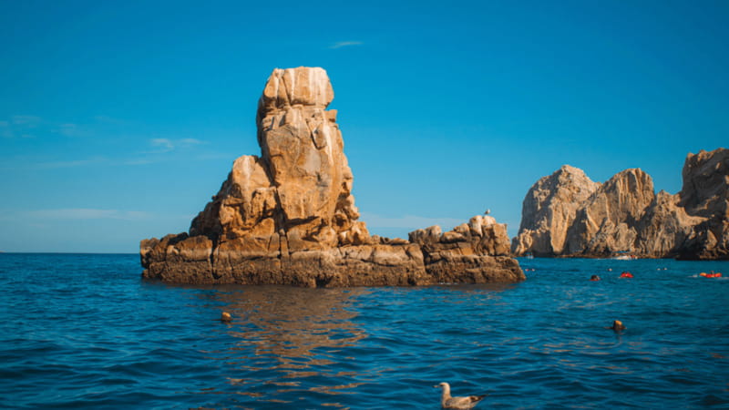 Cabo San Lucas: Tour paseo al Arco + bajada en playa - The beach drop-offs: Pelican, Lover’s, and Divorce Beach