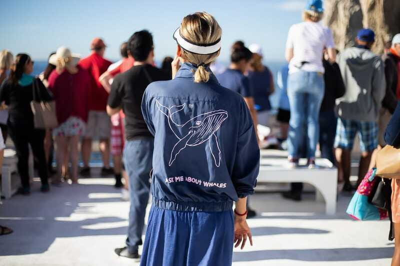 Cabo San Lucas: Whale Watching Breakfast Cruise - Drinks, Group Vibe, and How the “Party Boat” Works in Real Life