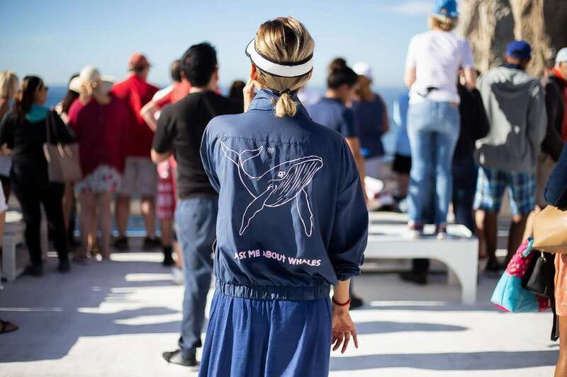 Cabo San Lucas: Whale Watching Breakfast Cruise - Breakfast Buffet You Will Actually Eat Before Whale Time