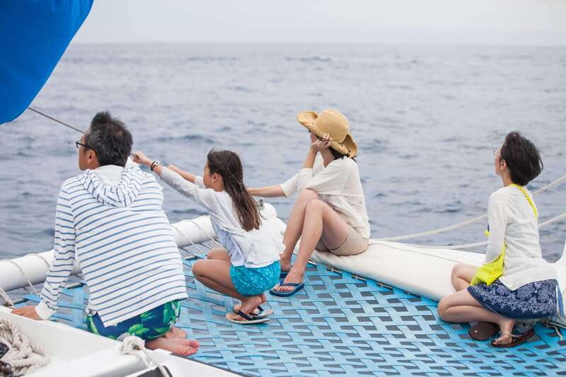 Cabo San Lucas: Whale Watching Catamaran Experience - Whale watching on the Pacific: how the hour works in real life