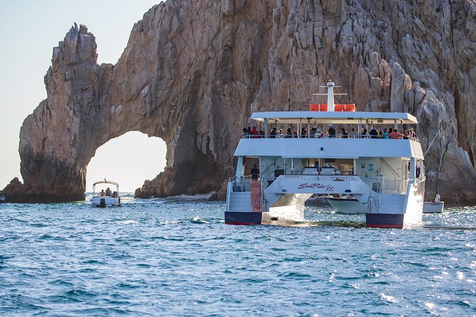 Cabo San Lucas Whale Watching Lunch Cruise - Lunch onboard: Mexican buffet plus unlimited drinks