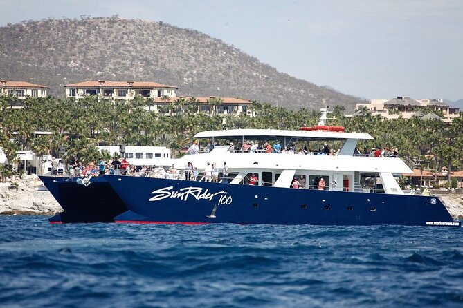 Cabo San Lucas Whale Watching Lunch Cruise - Morning logistics at Marina Cabo San Lucas, plus finding Sunrider fast