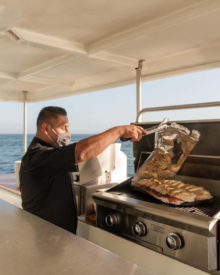Cabo San Lucas: Whale Watching Tour with Buffet & Open Bar - Whale watching in winter: what you’re actually looking for