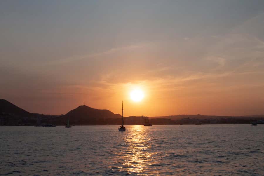 Cabo San Lucas: Whale Watching Tour with Buffet & Open Bar - Logistics that matter: time on the water and timing for check-in