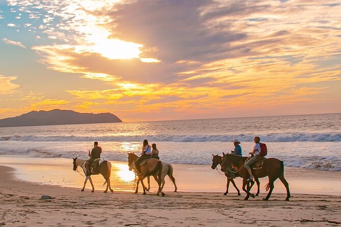 Cabo Shore Excursion: Beach Horseback Ride & Tequila Tasting - The value of horseback riding on a Cabo beach day