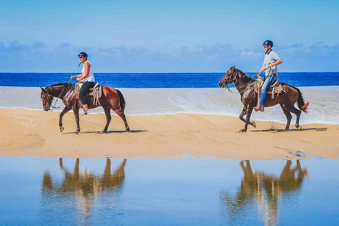 Cabo Shore Excursion: Beach Horseback Ride & Tequila Tasting - Where the tour starts, and how pickup works from Cabo