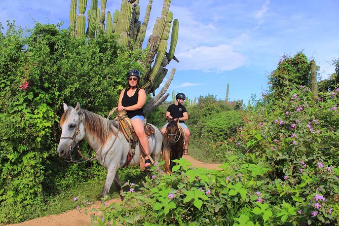 Cabo Shore Excursion: Beach Horseback Ride & Tequila Tasting - Playa Migrino: the beach ride you’re really paying for