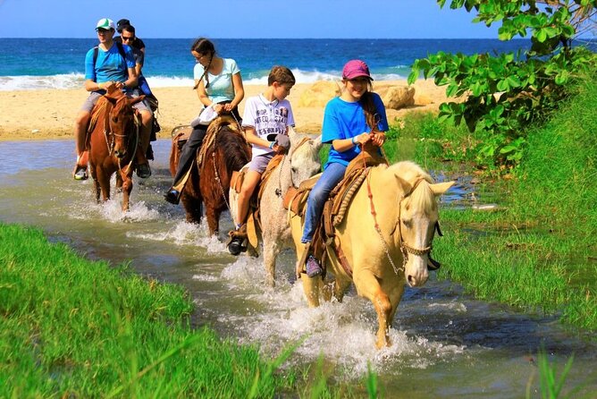 Cabo Shore Excursion: Beach Horseback Ride & Tequila Tasting - The desert-to-beach ride: how hard is it, really?