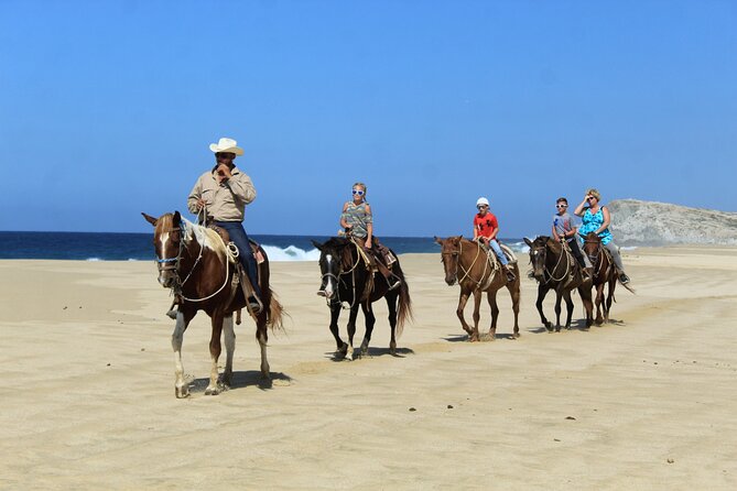 Cabo Shore Excursion: Beach Horseback Ride & Tequila Tasting - Tequila tasting: a short education, not a long night
