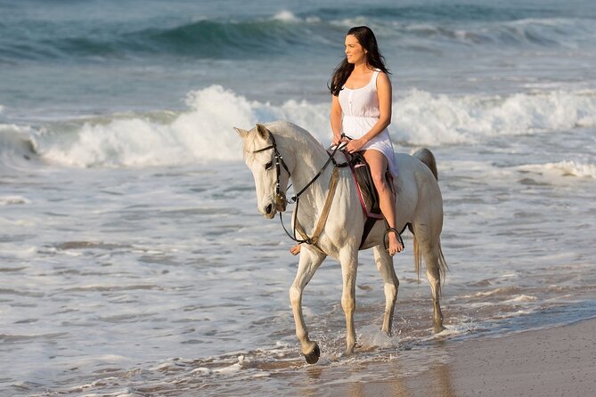 Cabo Shore Excursion: Beach Horseback Ride & Tequila Tasting - The 3-hour flow: Migrino first, then a Cabo sightseeing loop