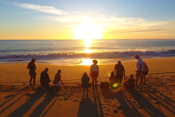 Cabo Turtle Release - Key things to know before you go
