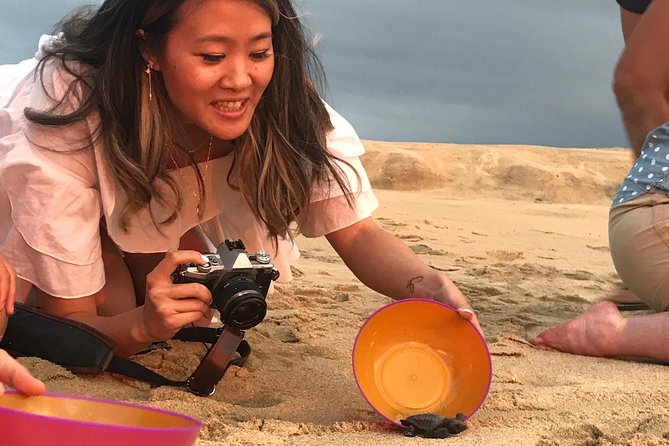 Cabo Turtle Release - Meet at CaboTrekHotel Tesoro, then roll to the beach