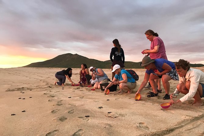 Cabo Turtle Release - What’s included, what might be provided, and what to bring