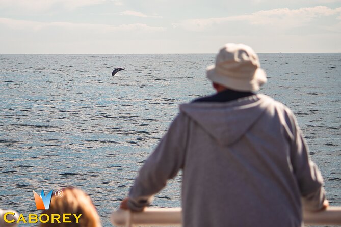 Cabo Whale Watch Three-Level Vessel and Majestic Arch - Quick hits before you board