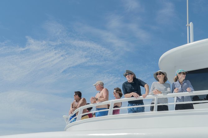 Cabo Whale Watch Three-Level Vessel and Majestic Arch - Stop 1: El Arco and why that photo moment is worth it