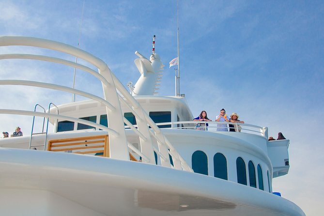 Cabo Whale Watch Three-Level Vessel and Majestic Arch - What the onboard experience feels like: buffet, open bar, DJ