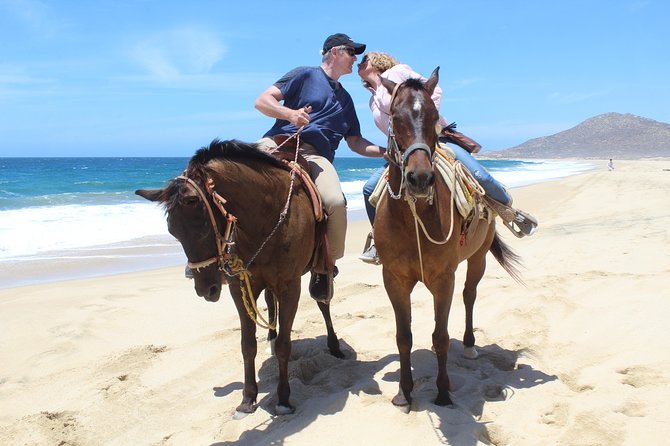 Cabo White Sand Horseback Riding Tour and Tequila Tasting - Desert-to-beach horseback riding in Cabo San Lucas