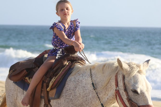 Cabo White Sand Horseback Riding Tour and Tequila Tasting - The actual flow: desert trails, then shoreline wildlife