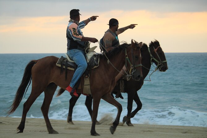 Cabo White Sand Horseback Riding Tour and Tequila Tasting - Guides and horses: what good service looks like