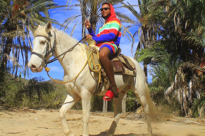 Cabo White Sand Horseback Riding Tour and Tequila Tasting - Park fees, photos, tips, and the upsell pressure