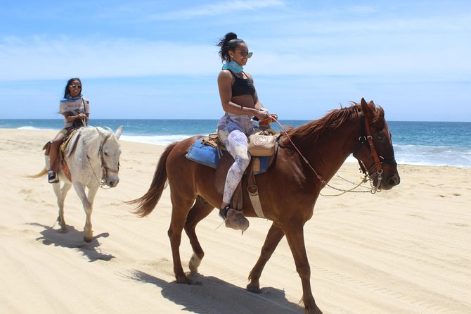Cabo White Sand Horseback Riding Tour and Tequila Tasting - Is it worth your time? Who will love it most