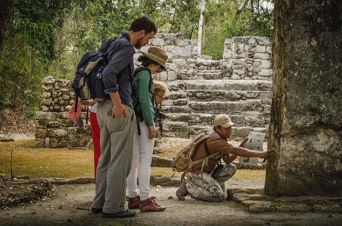 Calakmul Ancient Maya City Tour - From Campeche - Biosphere reserve time: wildlife spotting without the pressure