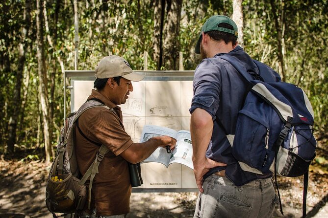Calakmul Ancient Maya City Tour From Xpujil - Key Points You’ll Actually Care About
