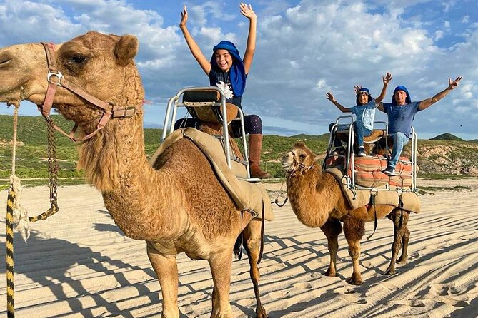 Camel Encounter and Safari Ride with Lunch and Alcohol Tasting - Camel Beach Basics: What You’re Really Buying in Cabo