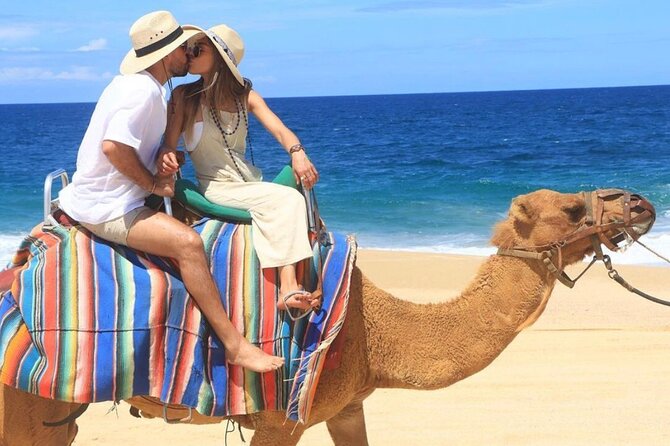 Camel Encounter and Safari Ride with Lunch and Alcohol Tasting - The Camel Ride Itself: White Sand, Waves, and How to Enjoy the 10 to 20 Minutes