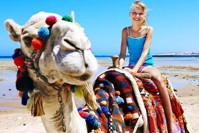 Camel Encounter and Safari Ride with Lunch and Alcohol Tasting - Lunch and Drinks: The Taco and Fajita Plate You Should Plan Around