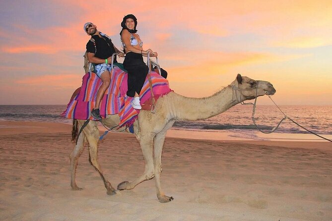 Camel Encounter and Safari Ride with Lunch and Alcohol Tasting - Getting There From Cabo San Lucas: Pickup and Timing That Don’t Waste Your Day